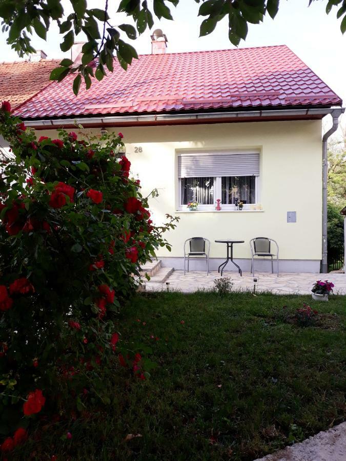 Gospic Riverside Apartment المظهر الخارجي الصورة